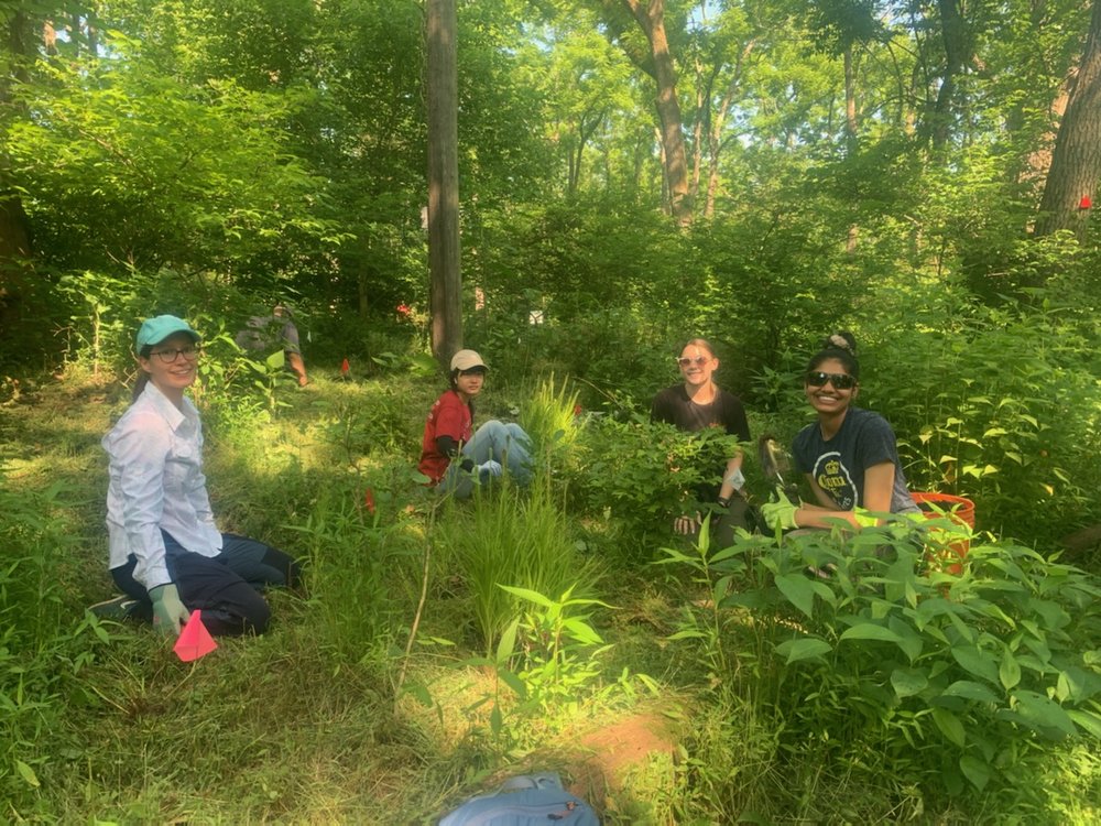 Intern Team Pollinator Planting 2022.jpg