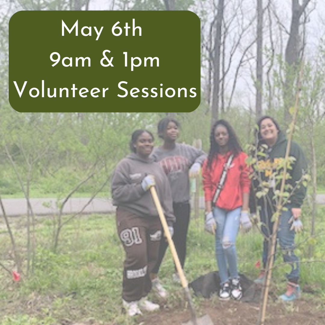 Weekend Volunteer Session: Safeguarding Spring — Friends of Princeton ...