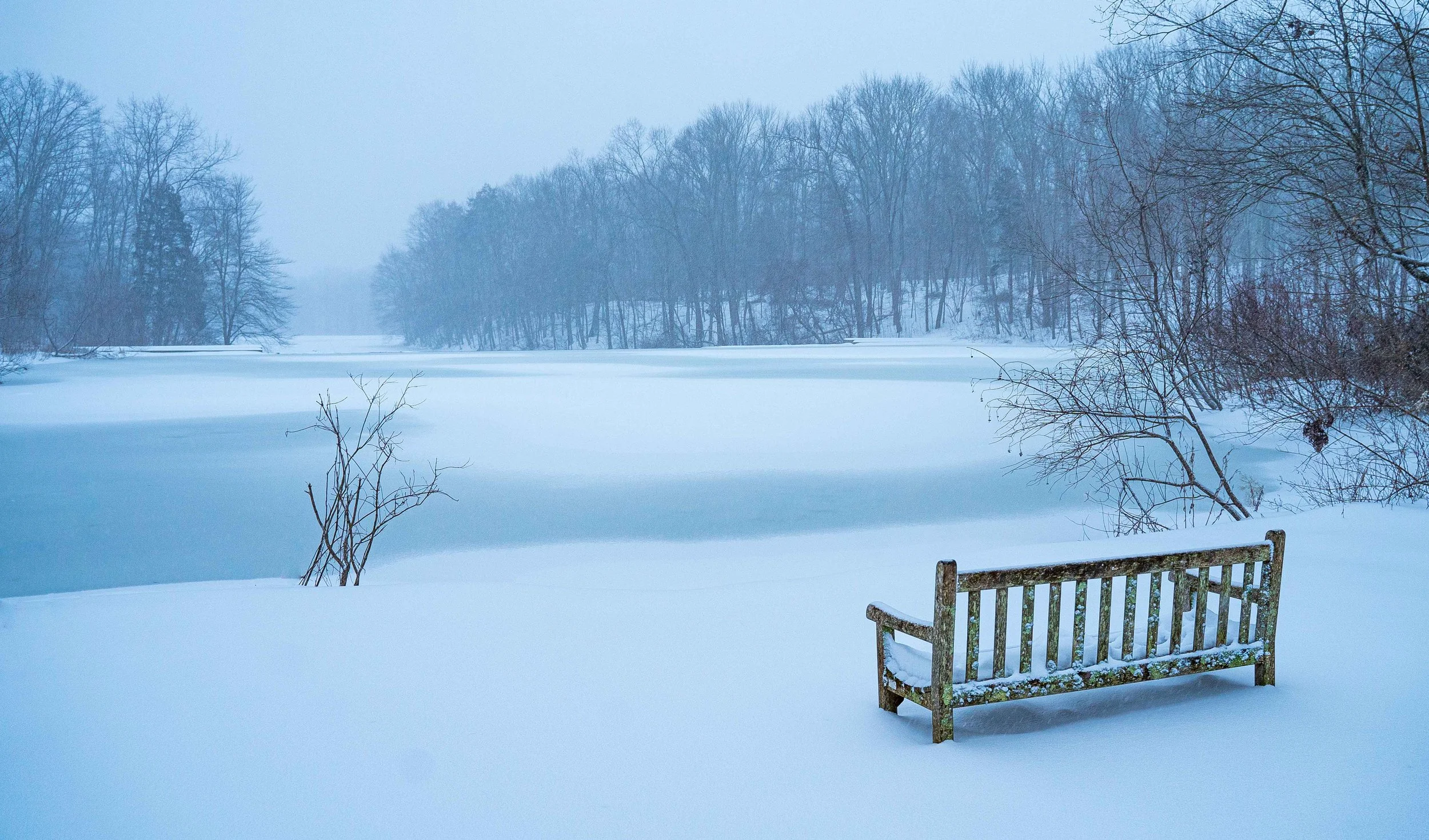 Perspectives on Preservation Exhibition Opening