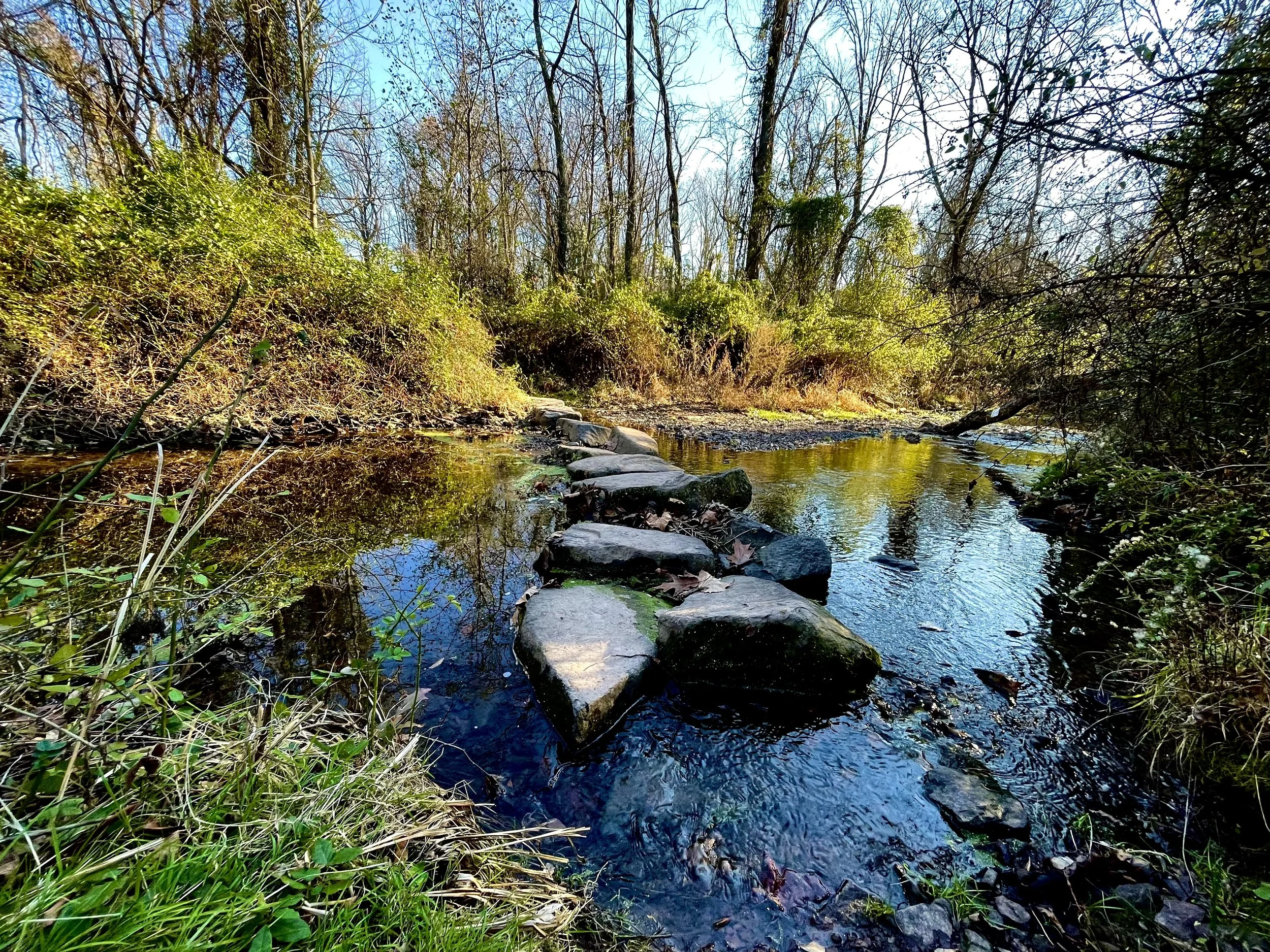 Recruit A Friend To Be A Friend