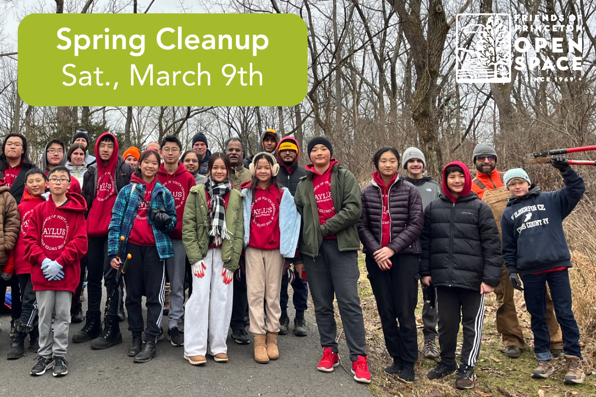 Spring Cleanup in Princeton // 3.9.24