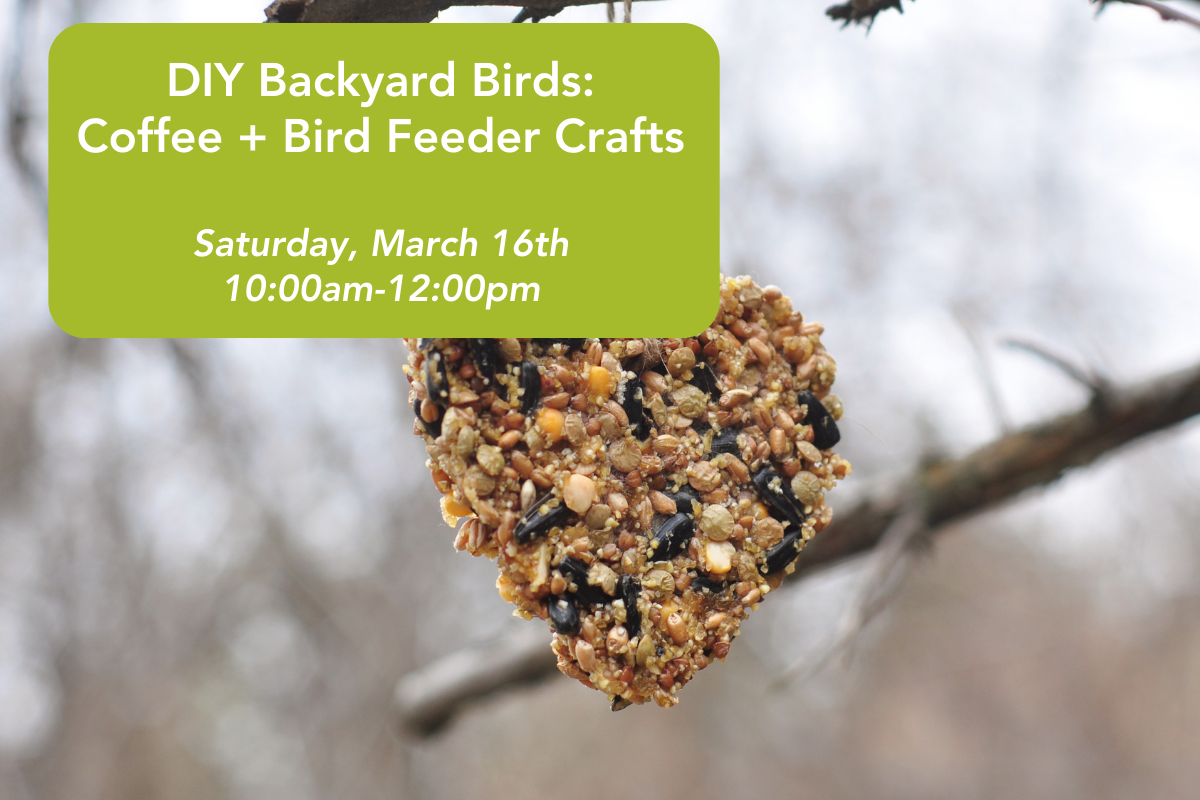 DIY Backyard Birds Coffee + Crafts // 3.16.24 — Friends of Princeton