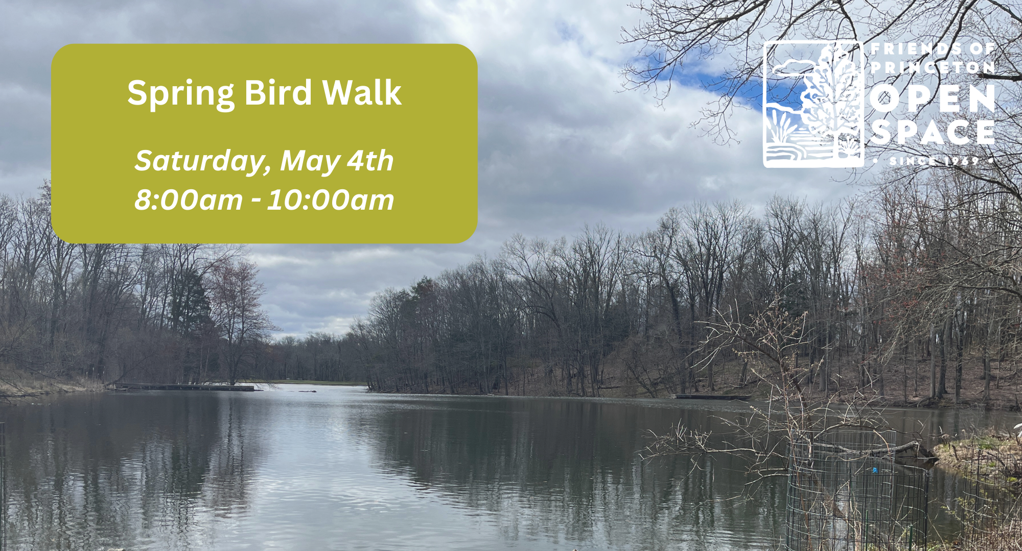 Spring Bird Walk //5.04.24 