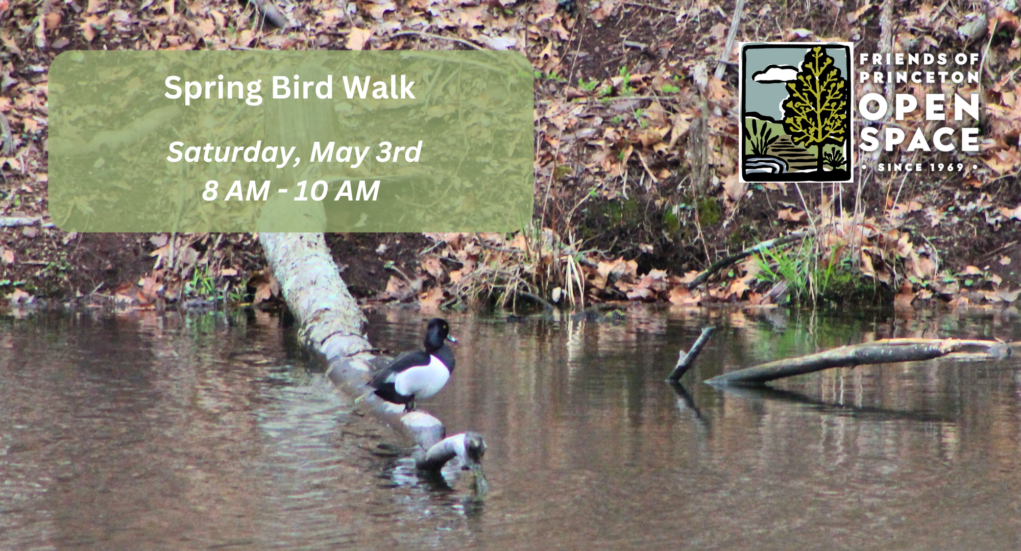 Spring Bird Walk with Winnie Hughes Spar // 6.7.25 — Friends of ...