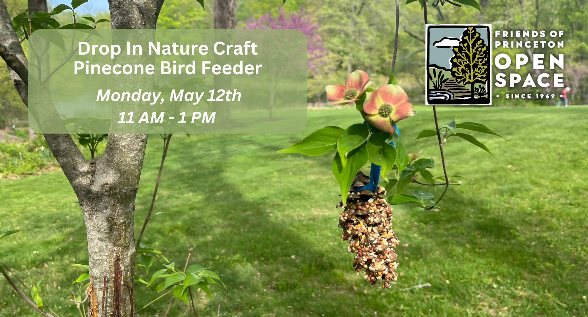 Pinecone Bird Feeder: Drop In Nature Craft // 5.12.25