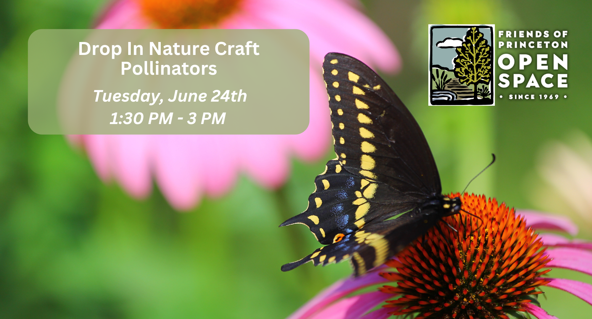 FOPOS Drop In Nature Craft: Pollinators // 6.24.25