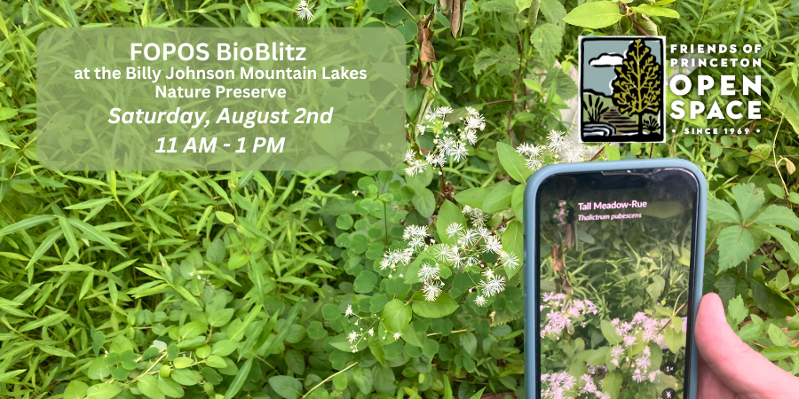 FOPOS BioBlitz // 8.2.25
