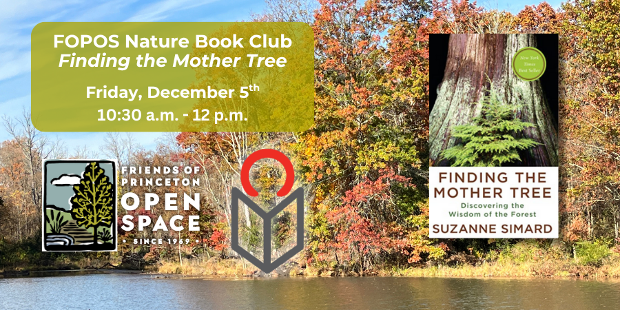 FOPOS Nature Book Club: Finding the Mother Tree // 12.5.25