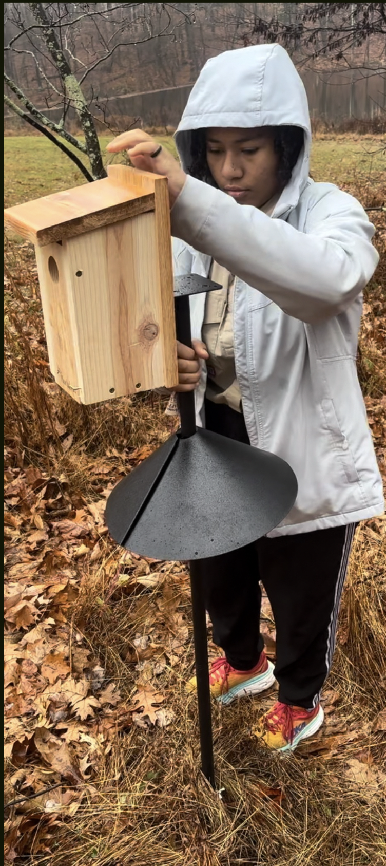Scout installing bluebird nesting box.png