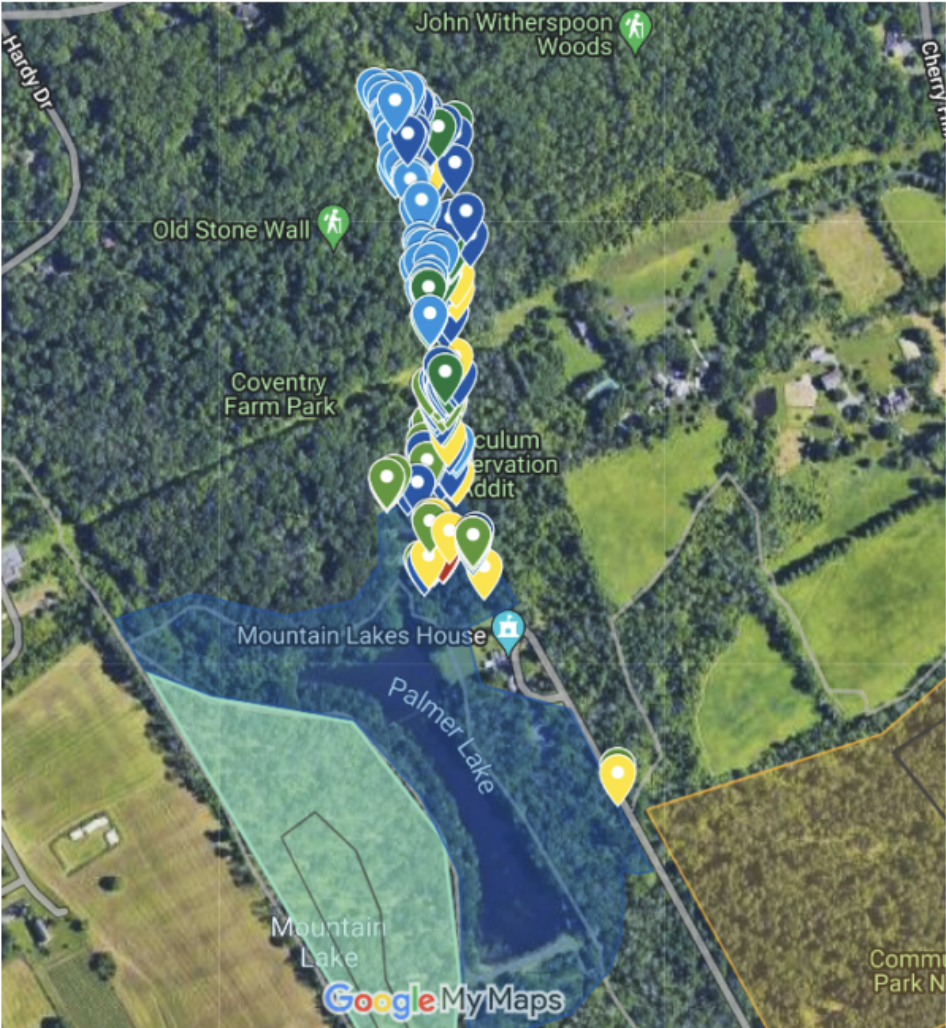  Survey map showing infected beech trees. Most of the beech population is concentrated in the northeastern corner of the Preserve, a forested area that follows Mountain Brook and extends into John Witherspoon Woods and the Princeton Ridge. 