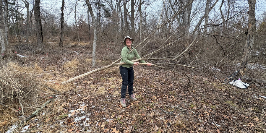 FOPOS Winter Tree Tenders Volunteer Training // February 24th 2026