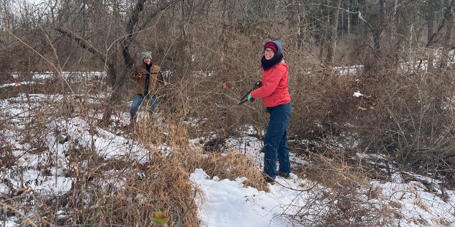 FOPOS Winter Tree Tenders Volunteer Training // February 21st 2026 