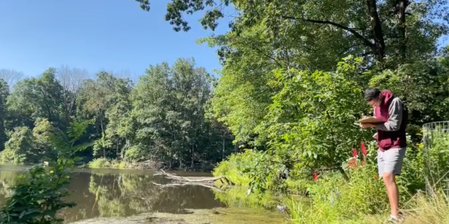 FOPOS Nature Journaling Meetup // Monday, March 9th