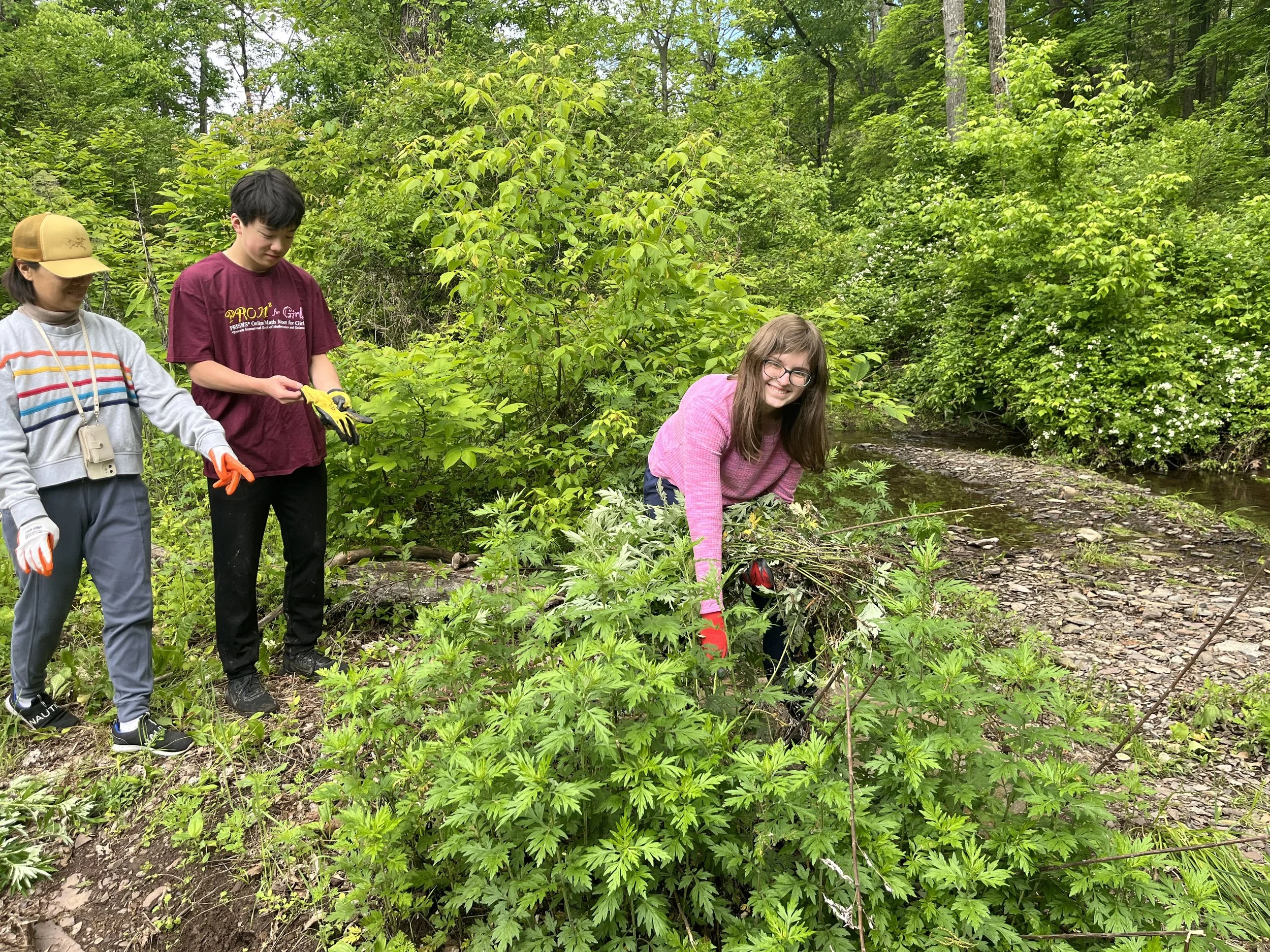 FOPOS Land Stewardship Volunteer Day // Saturday May 23rd