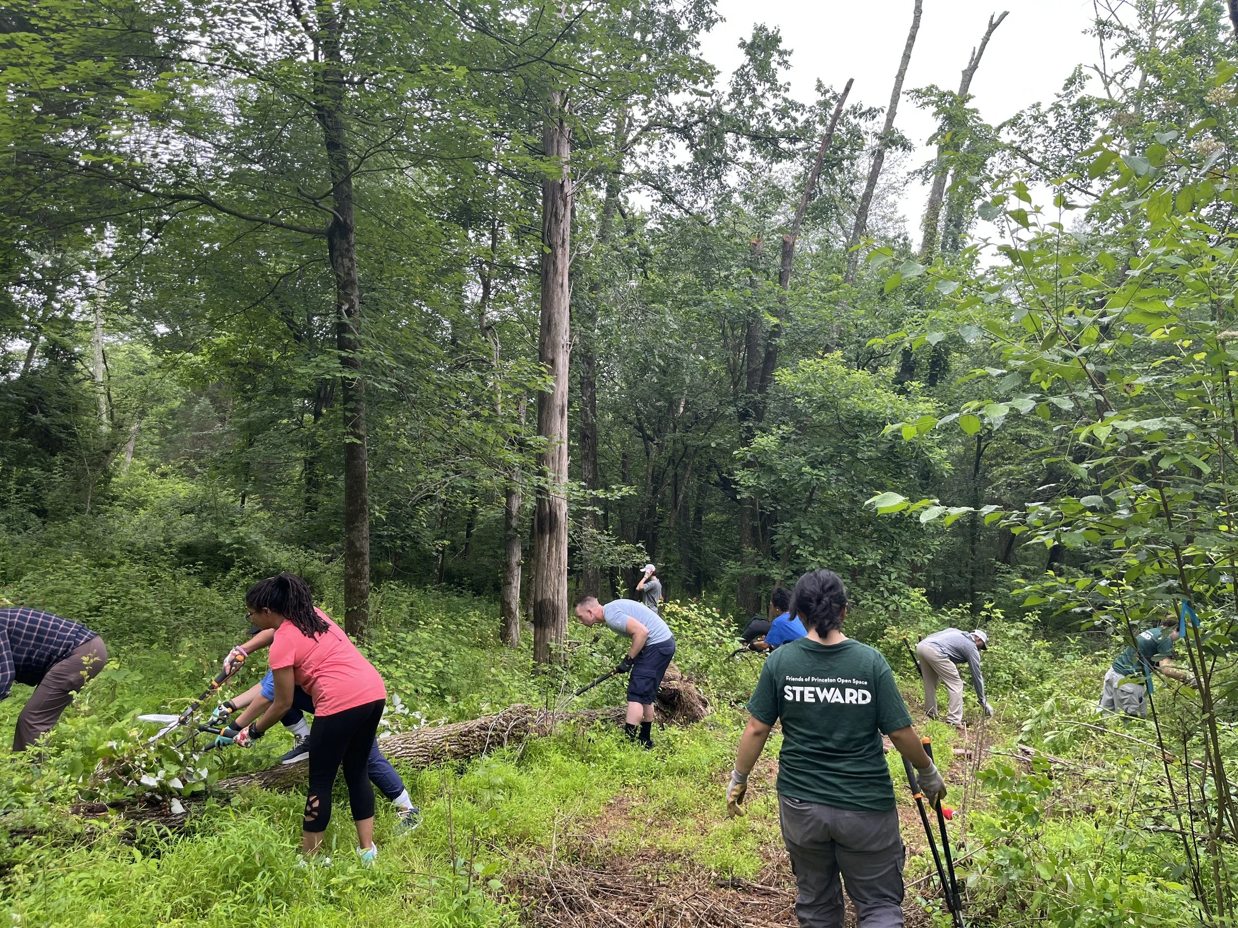 FOPOS Land Stewardship Volunteer Day // Saturday July 11th