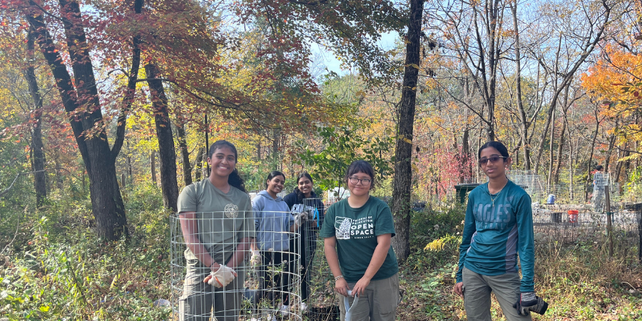 FOPOS Land Stewardship Volunteer Day // Sunday, July 19th