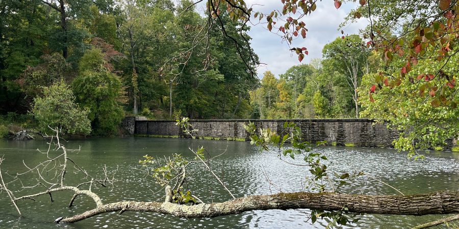 FOPOS May Nature Walk // Friday, May 22nd