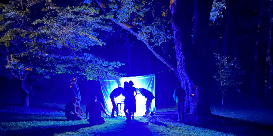 FOPOS Evening Moth Survey // Thursday, July 23rd