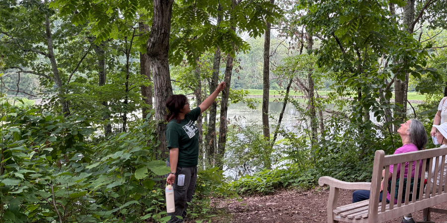 FOPOS August Nature Walk: Exploring Life around Mountain Lakes // Saturday, August 15th