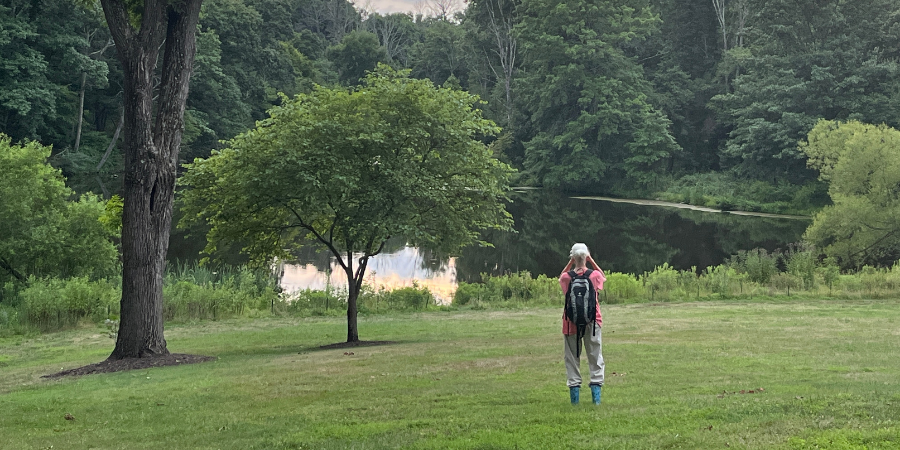 FOPOS August Nature Walk: Exploring Life around Mountain Lakes // Saturday, August 21st