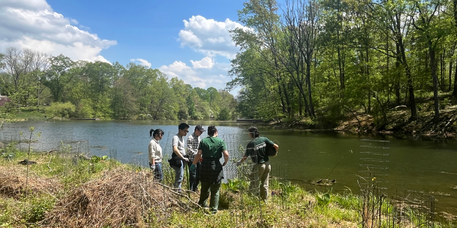 FOPOS Land Stewardship Volunteer Session // Saturday, September 12th