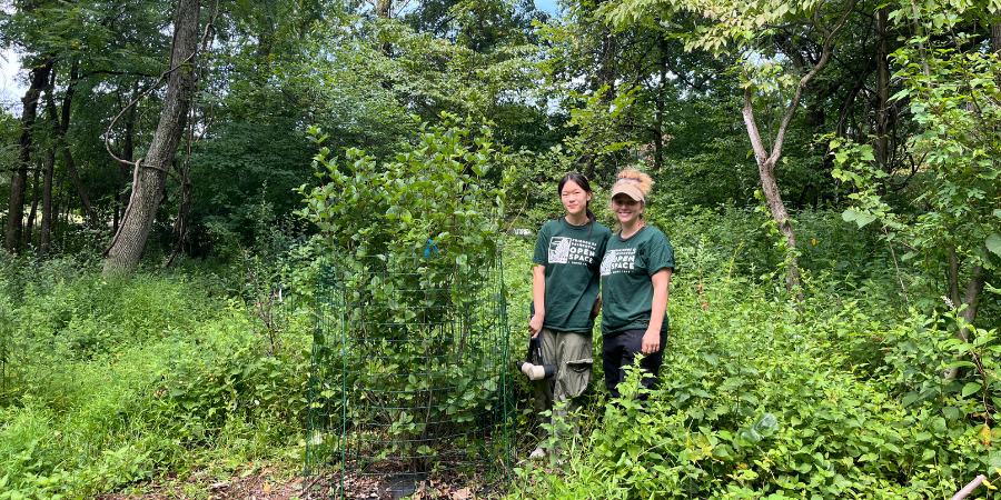 FOPOS Land Stewardship Volunteer Session // Saturday, September 26th