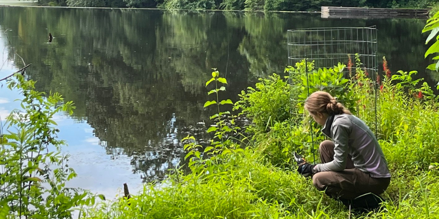 FOPOS Land Stewardship Volunteer Session // Saturday, October 10th