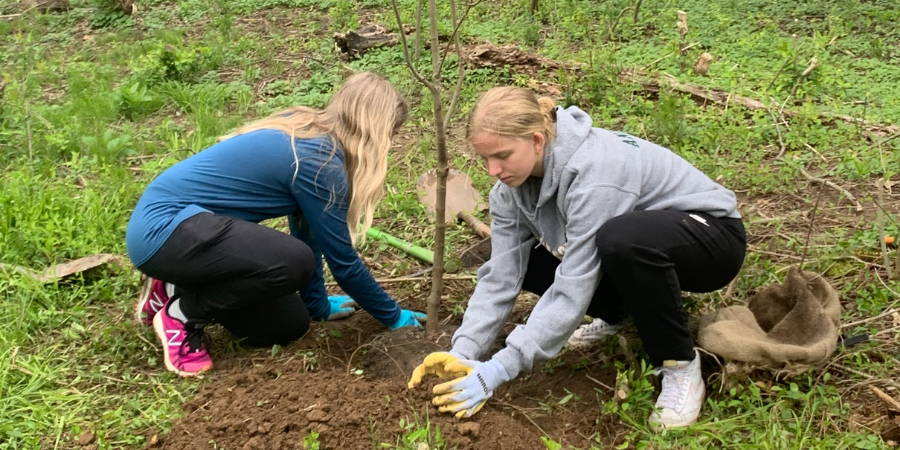 FOPOS Land Stewardship Volunteer Session // Wednesday, October 14th