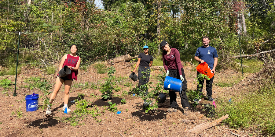 FOPOS Land Stewardship Volunteer Session // Sunday, October 18th