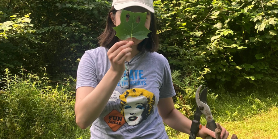 FOPOS Land Stewardship Volunteer Session // Saturday, October 31st // 10 - 12 pm