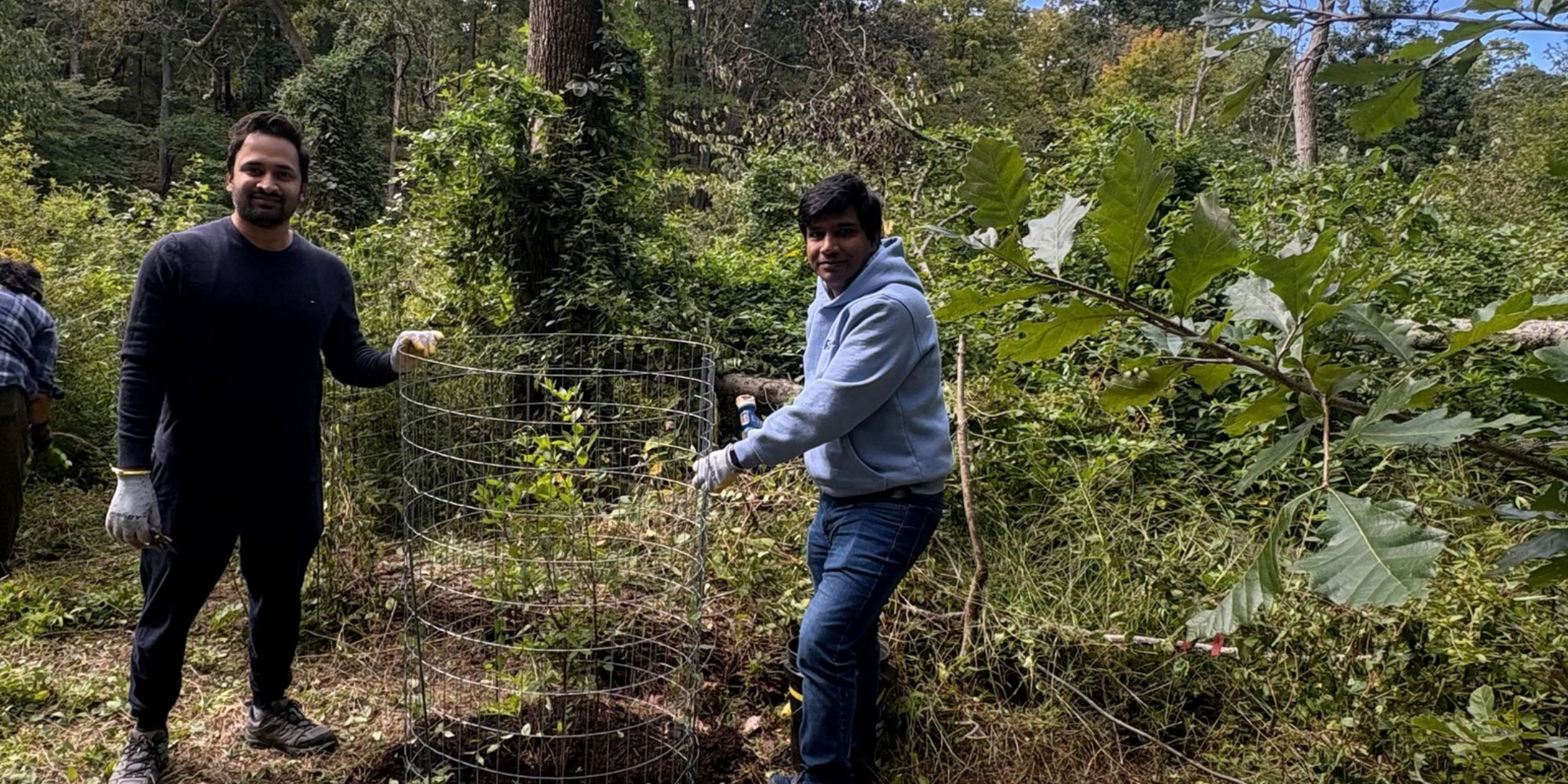 FOPOS Land Stewardship Volunteer Session // Saturday, November 14th // 10 am - 12 pm