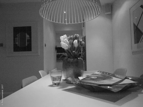 Ricoh GRD1 ISO 1600