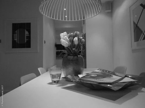 Ricoh GRD1 ISO 1600