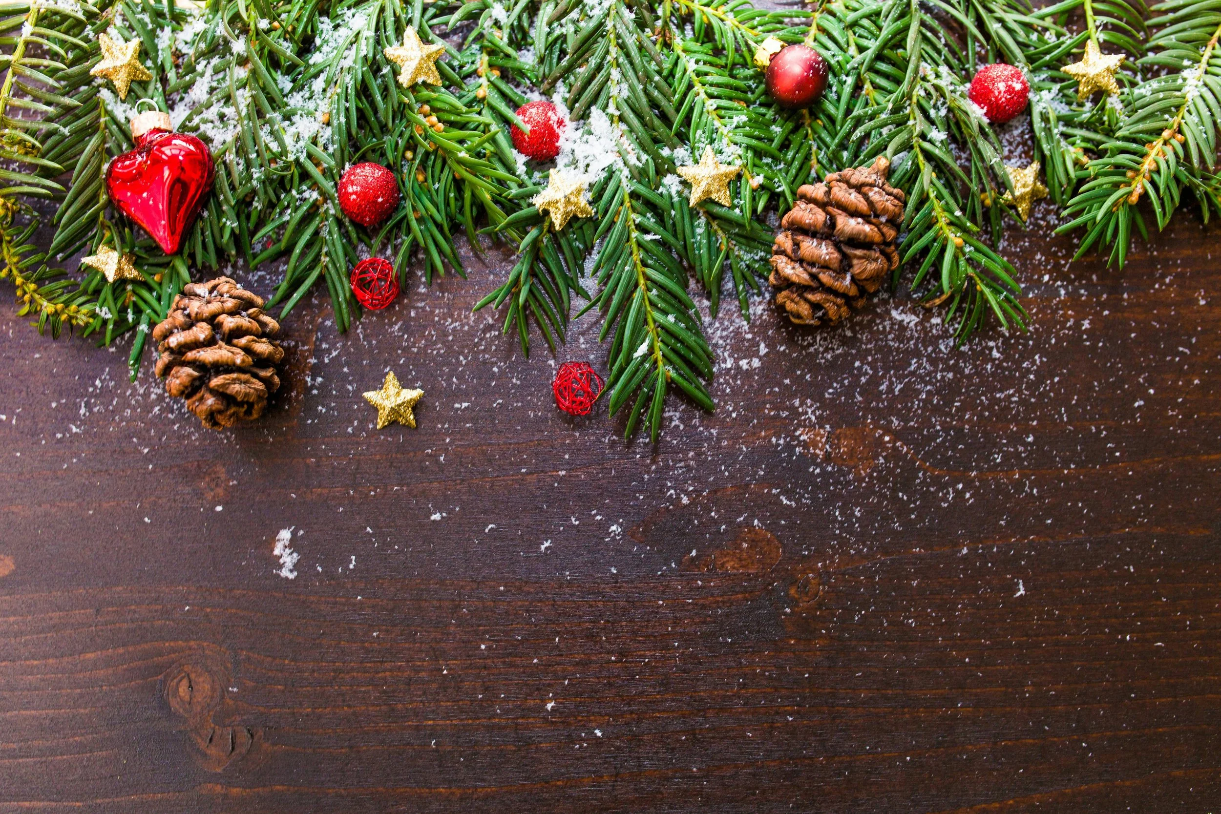 branch-celebration-christmas-188971.jpg
