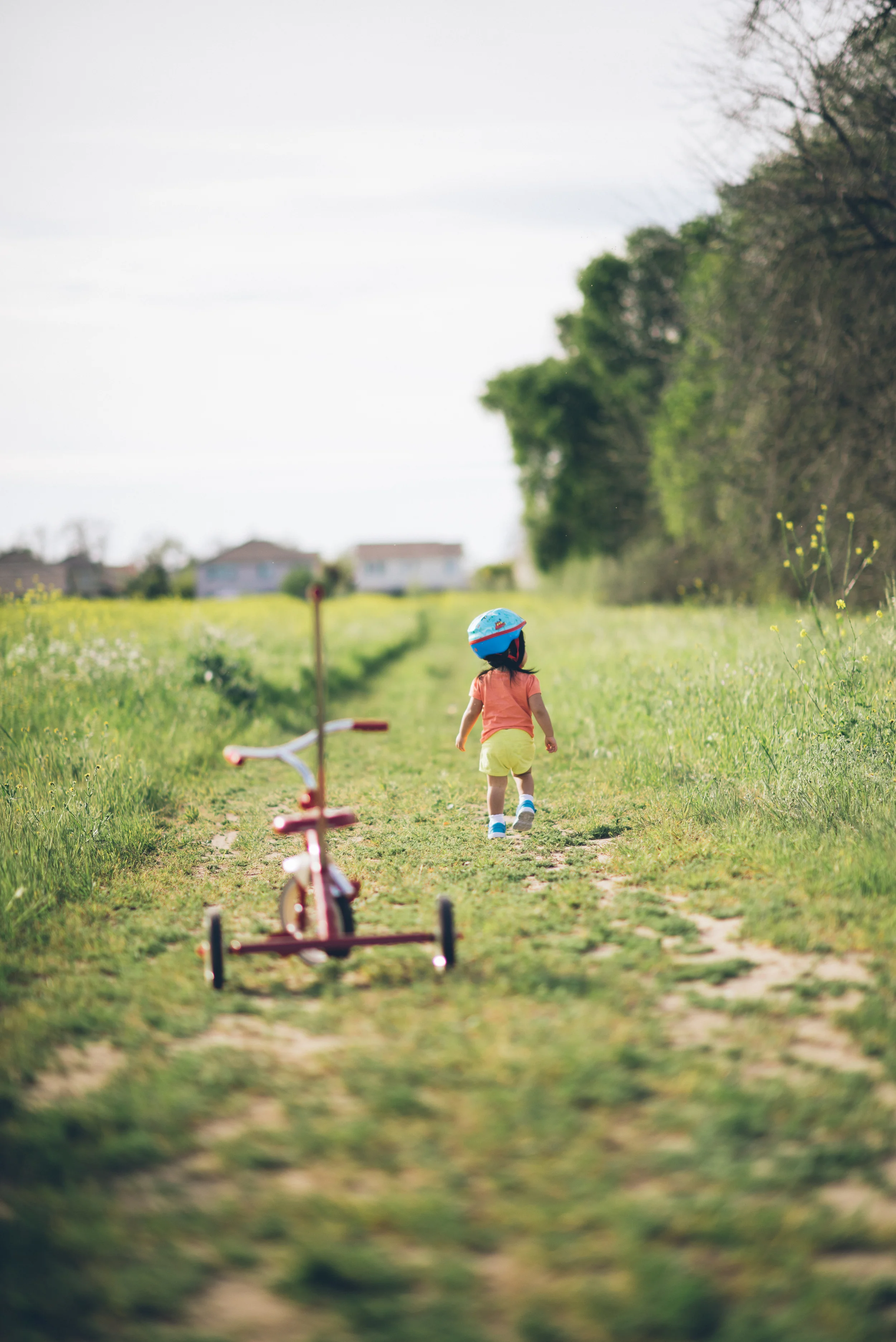 Lexi bike-3.jpg
