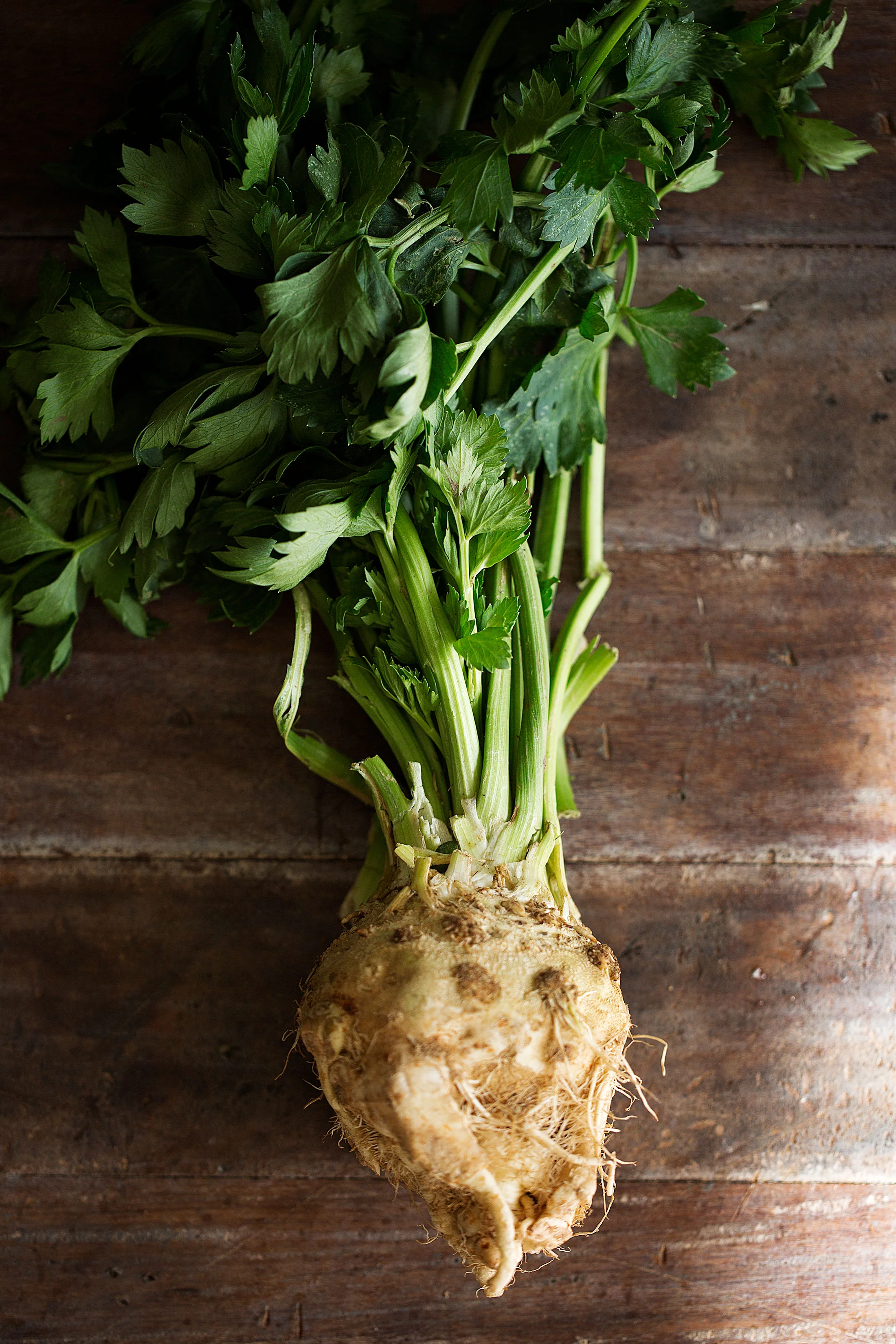Red Wine Braised Short Ribs with Celery Root Purée — Cooking with
