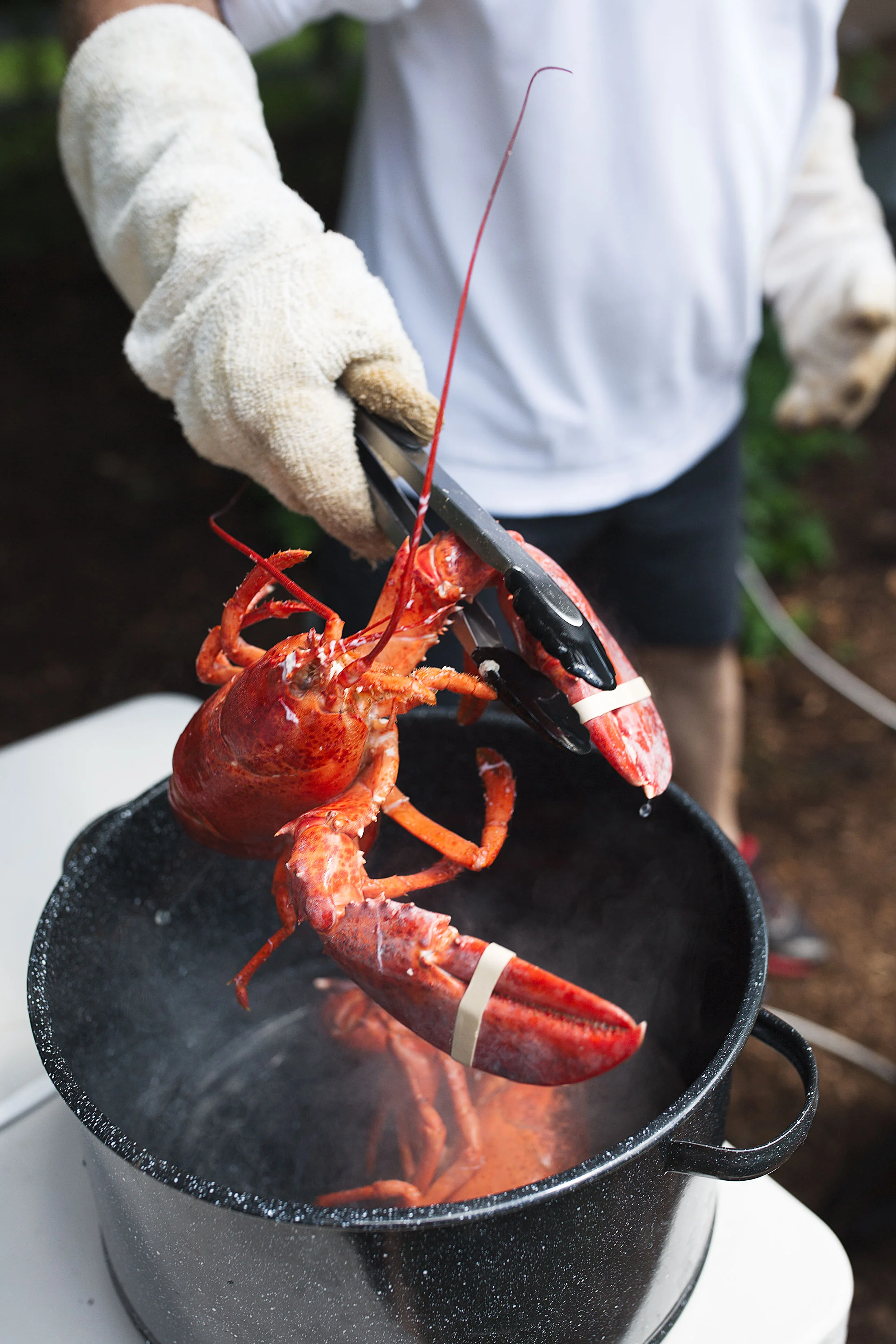 Classic New England Lobster Boil — Cooking with Cocktail Rings