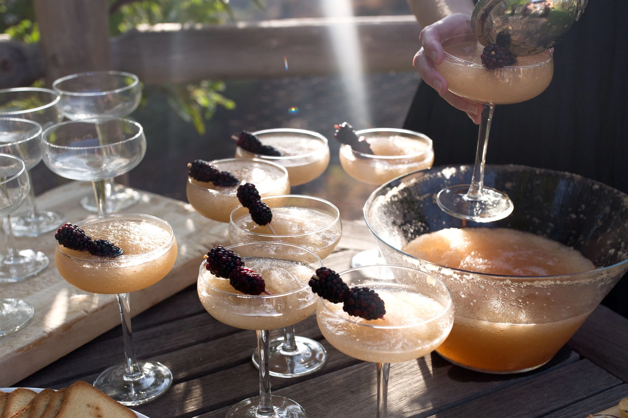 Plum-froze.jpg