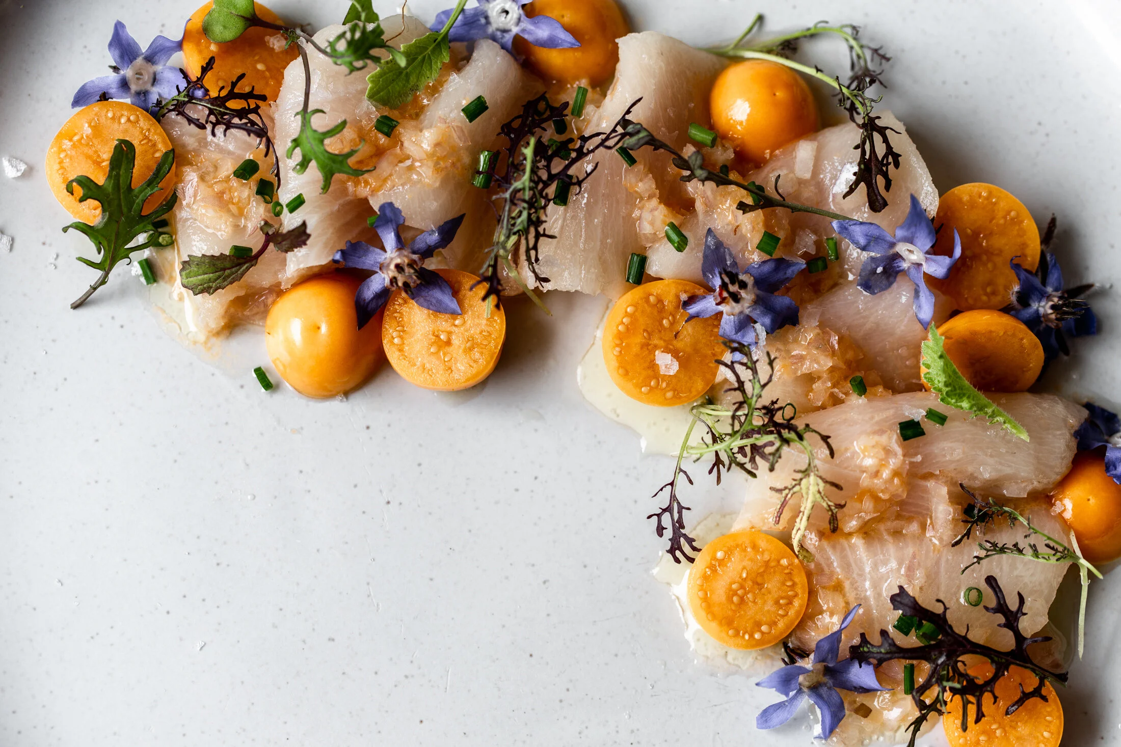 Yellowtail Crudo with Mandarin & Gooseberries — Cooking with Cocktail Rings