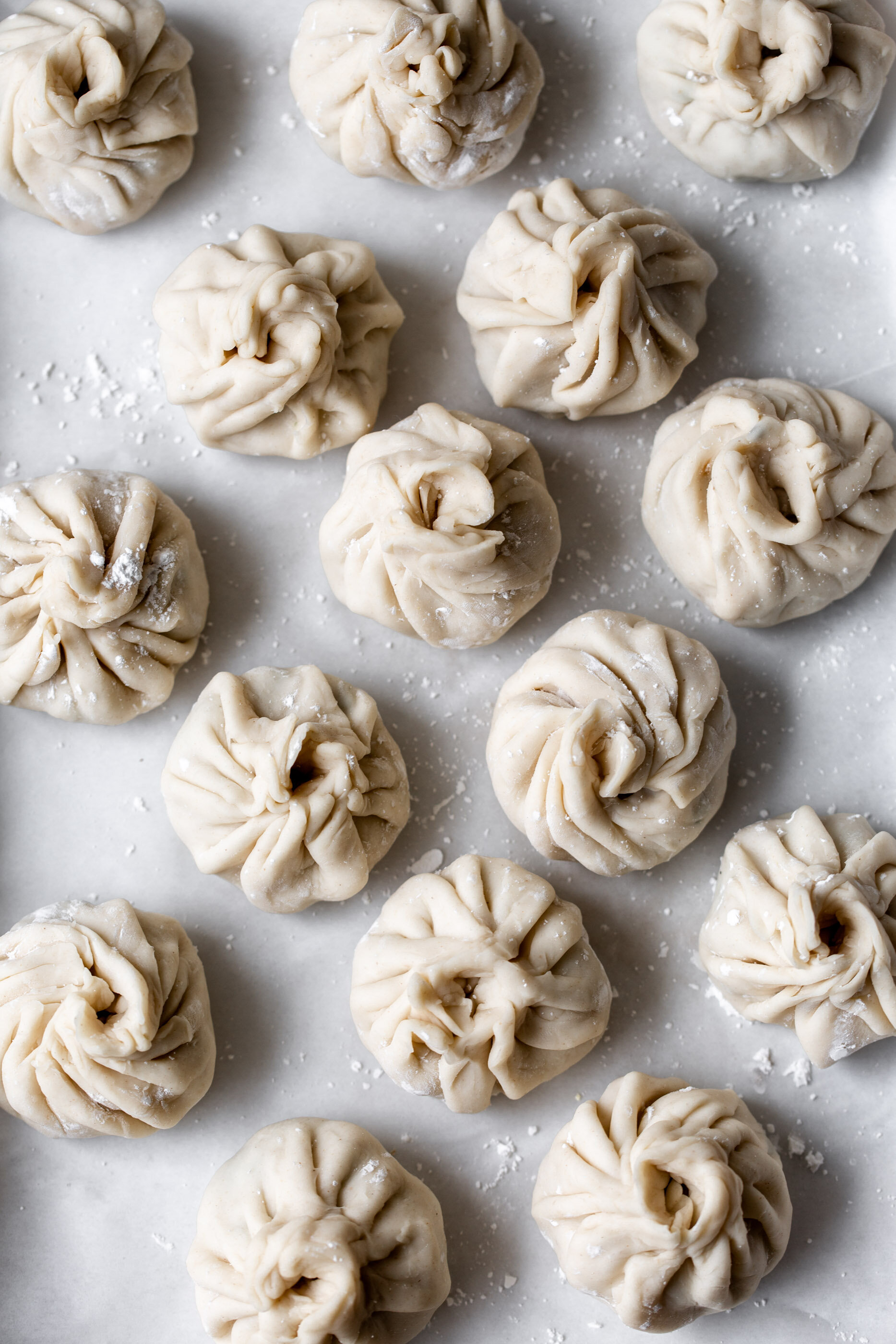 Juicy Pork & Chive Pan-Fried Dumplings — Cooking with Cocktail Rings