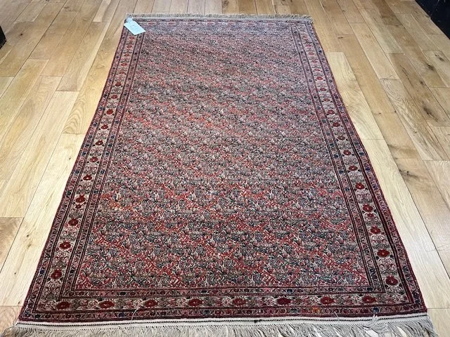 image0 - 2025-07-14T132633.503.jpeg