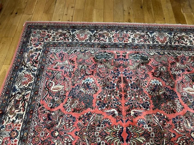 image5 - 2026-01-31T104155.953.jpeg