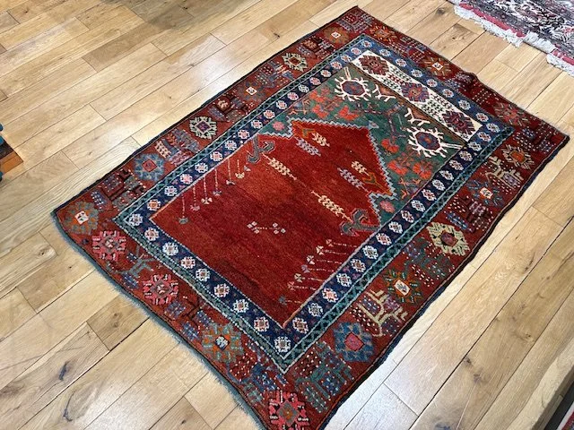 image5 - 2026-02-12T122402.512.jpeg