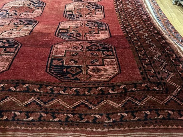 image1 - 2025-10-10T120648.652.jpeg