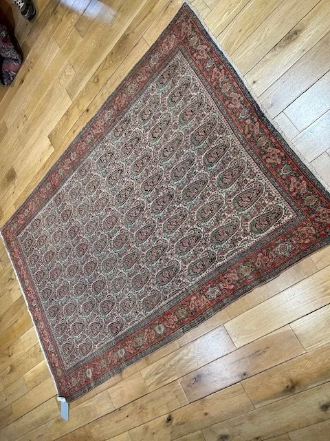 image3 - 2026-01-31T104326.692.jpeg