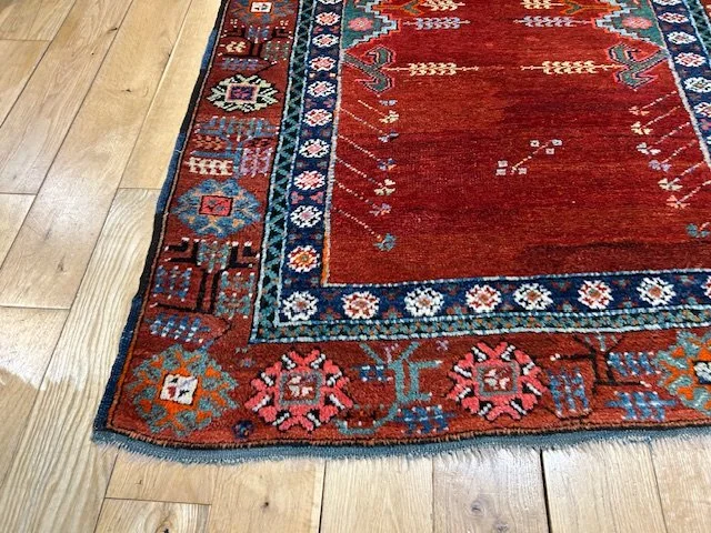 image3 - 2026-02-12T122352.111.jpeg