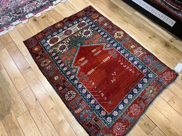 image7 - 2026-02-12T122410.928.jpeg