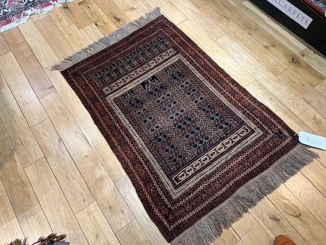 image7 - 2026-02-12T124653.016.jpeg