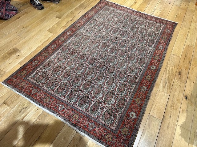 image6 - 2026-01-31T104332.177.jpeg