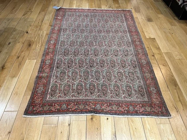 image0 - 2026-01-31T104322.344.jpeg